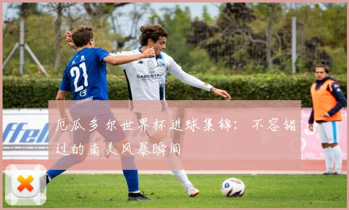 厄瓜多尔世界杯进球集锦：不容错过的南美风暴瞬间