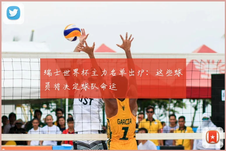 瑞士世界杯主力名单出炉：这些球员将决定球队命运
