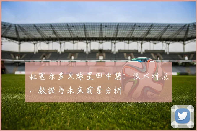 杜塞尔多夫球星田中碧：技术特点、数据与未来前景分析
