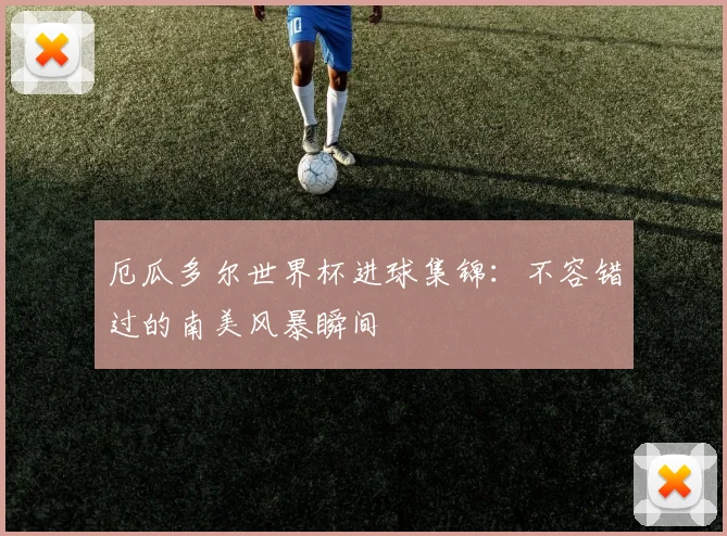 厄瓜多尔世界杯进球集锦：不容错过的南美风暴瞬间